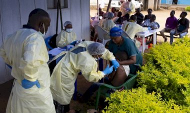 DSÖ: ABD'nin kararı Afrika'da sıtma ve AIDS ile mücadeleyi etkileyecek