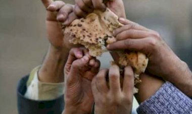 'Vakalar arttıkça küresel gıda sistemi zorlanacak'