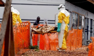 Afrika sadece geçen yıl 105 farklı salgınla mücadele etti