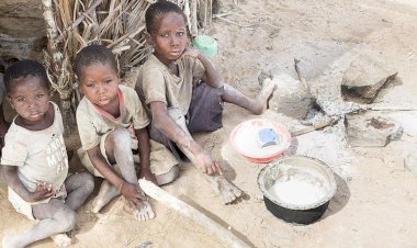 Batı Afrika'da 43 milyon insan gıda güvensizliği riski altında