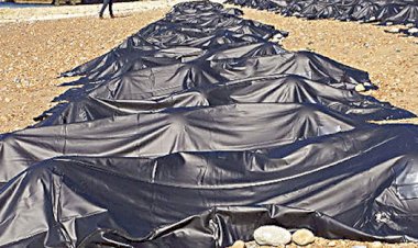 ABD'de ölü sayısı 80 bini aştı