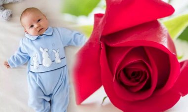 Berlin ve Bremen'de en fazla tercih edilen isim 'Muhammed'