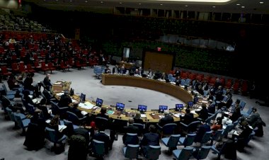 BM: Dubai merkezli iki şirket Hafter'e destek için Libya'ya Batılı paralı askerler gönderdi