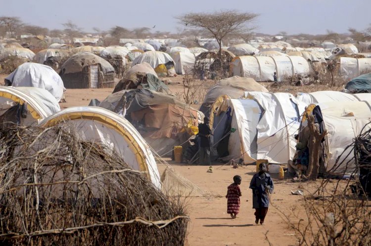 Kenya'da 400 bin mültecinin yaşadığı kampa giriş çıkışlar yasaklandı