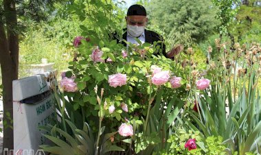 'Mahkeme-i Kübra'da onlardan davacı olacağım'