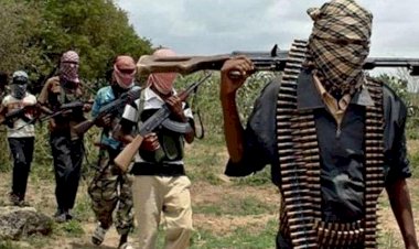 Nijerya'nın kuzeybatısı silahlı grupların tehdidi altında