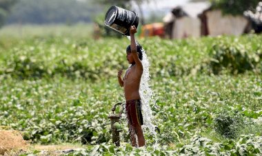 Hindistan'da son 10 yılın sıcaklık rekoru kırıldı