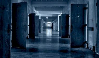 Galler'de yaklaşık 1700 akıl hastası 'yanlışlıkla' taburcu edildi