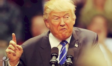 Trump valileri suçladı: İnsanları tutuklamalısınız