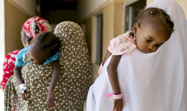 Nijerya'da gizemli hastalık 5 haftada 979 can aldı