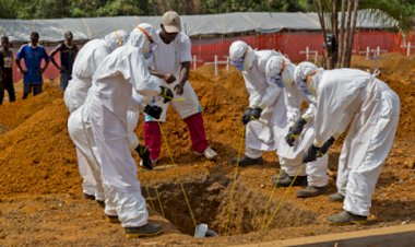 Afrika'da can kaybı 5 bin 500'ü geçti