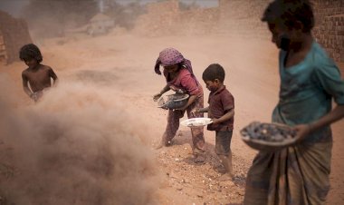 Afrika'da her 5 çocuktan biri işçi
