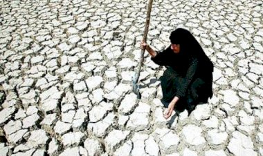 Çölleşme, dünyada 1,5 milyar insanın hayatını doğrudan etkiliyor
