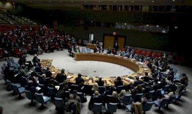 BM Güvenlik Konseyindeki Afrika koltuğunu Kenya kazandı