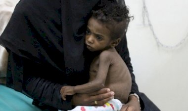 'Ya yardım edersiniz ya da uçurumdan düşmesini izlersiniz'