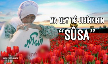 Ma qey tê jibîrkırın 'Susâ'