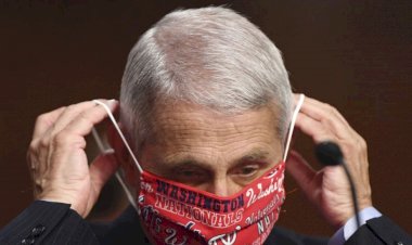 Fauci: 'ABD corona salgınında yanlış yöne gidiyor'