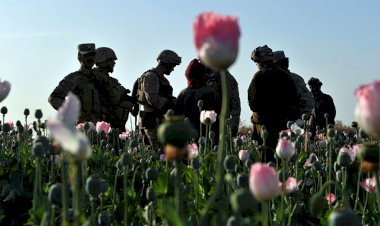 'CIA Afganistan'da uyuşturucu trafiğinin içinde'