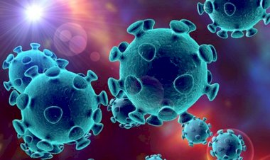 Dünya genelinde Kovid-19 tespit edilen kişi sayısı 11 milyon 764 bini geçti