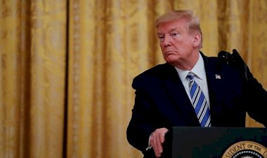 'Trump insanların hayatlarını piyon olarak kullanıyor'