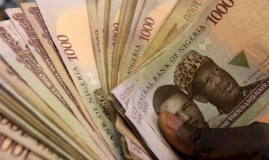 Nijerya'da yolsuzlukla mücadelenin başındaki isme yolsuzluk suçlaması