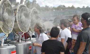 Küresel ısınma tehlikesi: Bazı organlar iflas edebilir