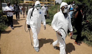 Dünya Sağlık Örgütü Afrika'yı uyardı