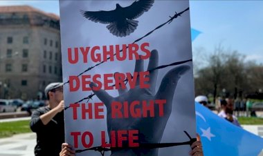 Britanya Müslümanlar Konseyinden Uygurlu Müslümanlar için Çin'e karşı eylem çağrısı