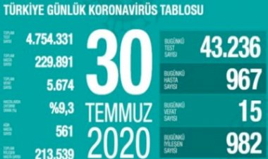 Türkiye'de vaka sayısı 230 bine yaklaştı