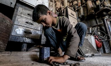 Çocuk işçiliğinin yasaklanmasına ilişkin acil eylem sözleşmesi üye ülkelerce onaylandı