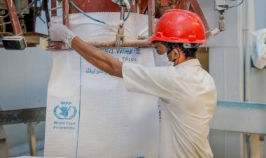 WFP: Lübnan'a 3 ay yetecek un gönderiyoruz