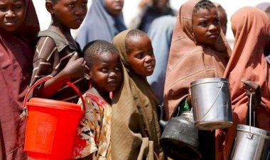 BM: Koronavirüs tedbirleri Afrika'da gıda krizini artırıyor