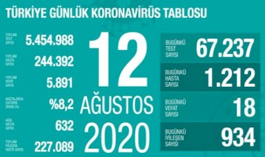 Türkiye'de koronavirüsten 18 ölüm: Bugünkü vaka sayısı 1212