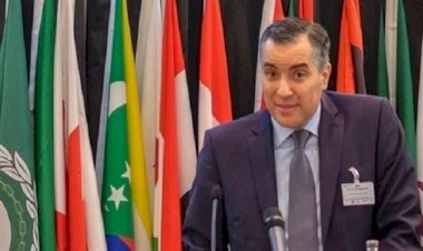 Lübnan Cumhurbaşkanı Avn, Büyükelçi Edib'i yeni hükümeti kurmakla görevlendirdi