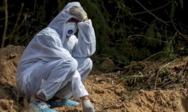 Hindistan'da 819, Brezilya'da 553, Meksika'da 256 ölü