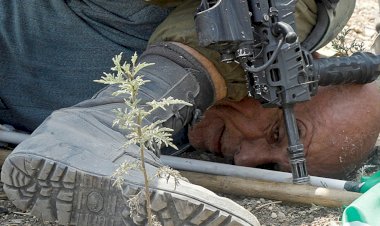 Filistinli Hanun: İsrail askeri diziyle omzuma çöktüğünde, George Floyd'u hatırladım