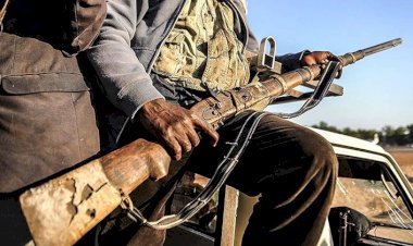 Nijerya'da son iki ayda 100 silahlı çete üyesi öldürüldü