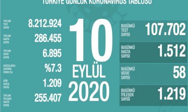 Türkiye'de koronavirüsten 58 can kaybı, 1512 yeni vaka