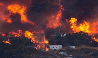 ABD'nin batısı yanıyor: Tek bir eyalette yarım milyon kişi tahliye edildi