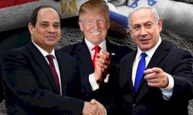 Darbeci Sisi'den normalleşmeye övgü