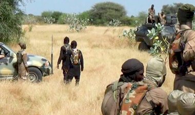 Nijerya'da silahlı baskın: 21 kişi kaçırıldı