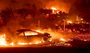 ABD'nin batısı 3 haftadır yanıyor: 33 ölü