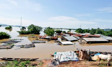 Nijerya'da 50 bin kişiyi yerinden oldu