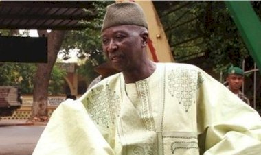 Mali'nin yeni cumhurbaşkanı; emekli asker Bah N'Daw