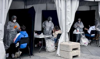 Fransa'da mutasyona uğrayan virüse yeniden rastlandı