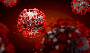 İtalya'da yeni bir mutasyon görüldü