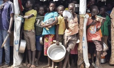 Güney Afrika'da 12 milyon kişi gıda kriziyle karşı karşıya