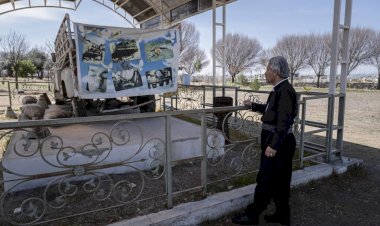 Halepçe katliamından sağ çıkan 'Ümit': Ağlaması kesilen çocuğun öldüğünü anlıyorduk