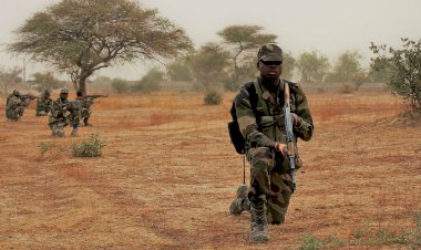 Nijerya'da silahlı çete üyelerine operasyon: 30 ölü