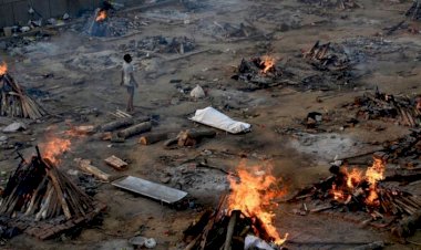 Hindistan'da rekor ölüm sayısı: 4 bin 529